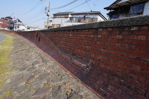 DSC03202.jpg