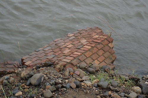 DSC04861.jpg