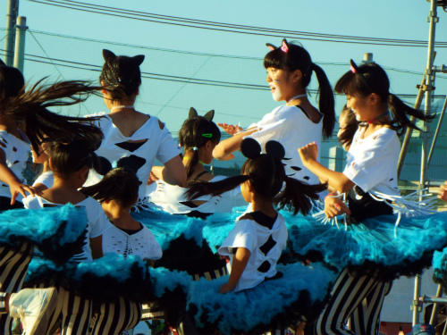 DSCF8329.jpg