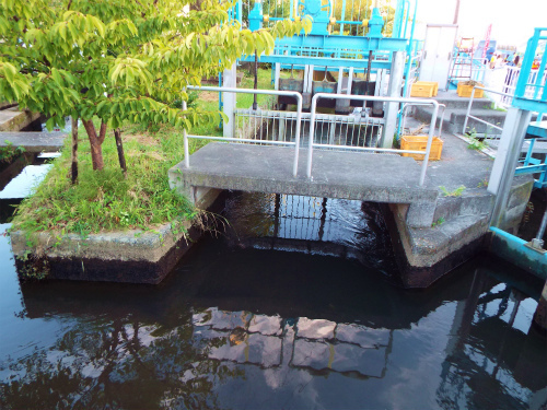 DSCF8336.jpg