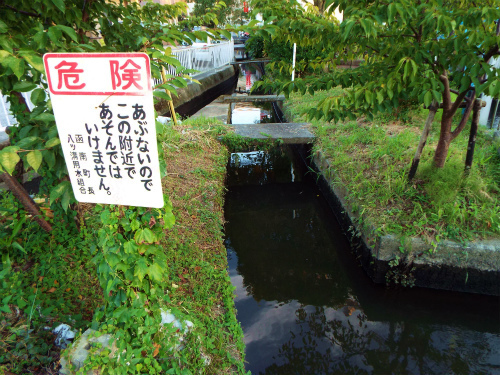 DSCF8337.jpg