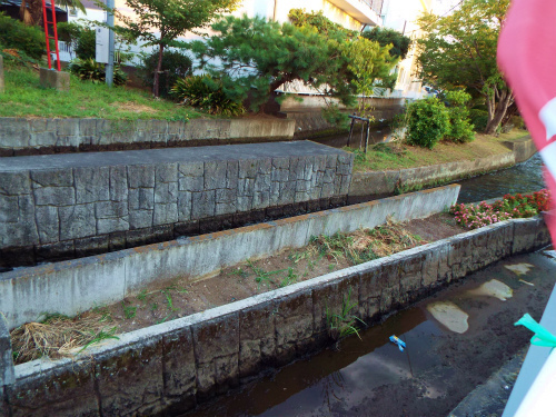 DSCF8338.jpg
