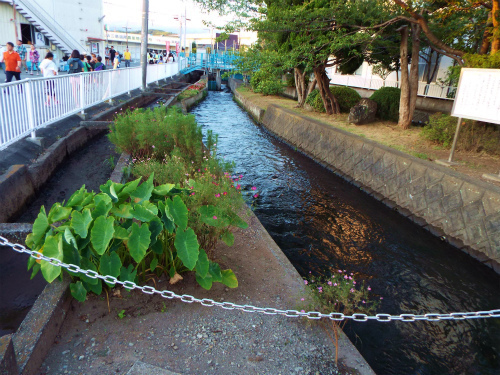 DSCF8339.jpg