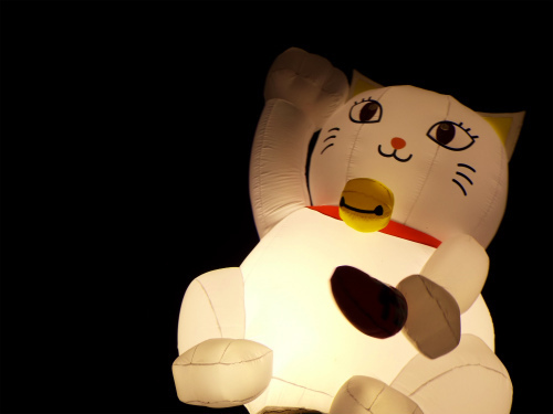 DSCF8350.jpg