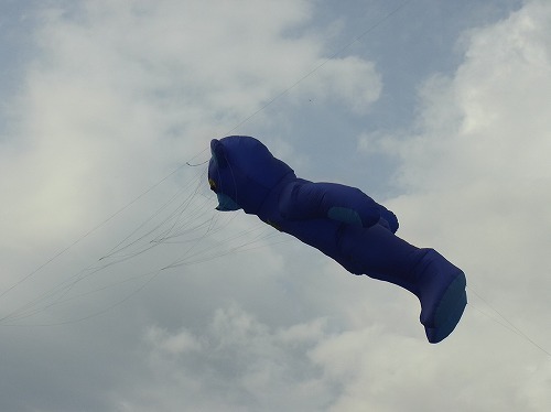 RIMG0034.jpg