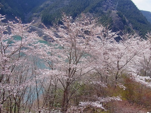 RIMG0043.jpg