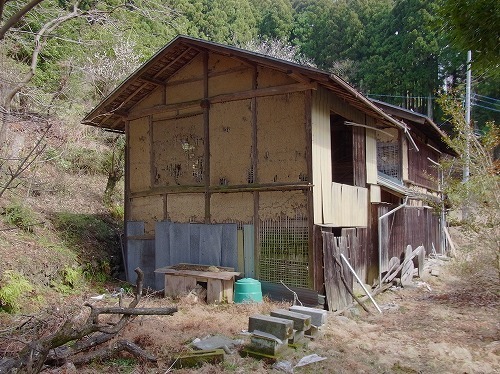 RIMG0053.jpg