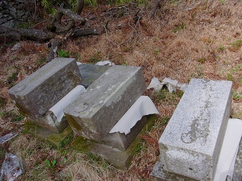 RIMG0054.jpg