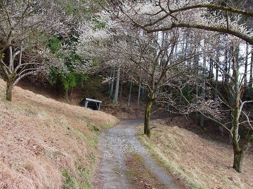 RIMG0058.jpg